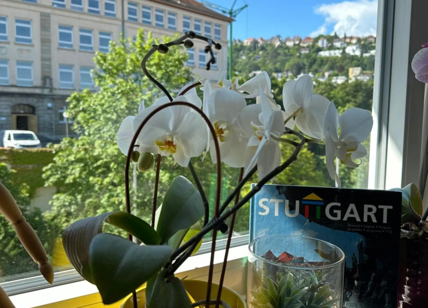 Renovated Flat - Prime Location Near Marienplatz Apartment Stuttgart 0*,